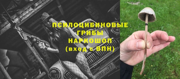крисы Осинники