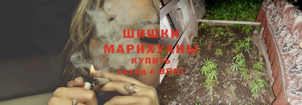 крисы Осинники