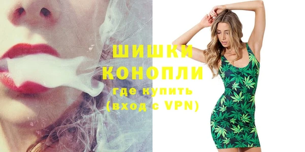 крисы Осинники