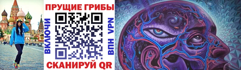 Псилоцибиновые грибы Magic Shrooms  купить   Эртиль 