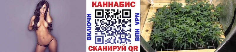 Каннабис планчик Эртиль